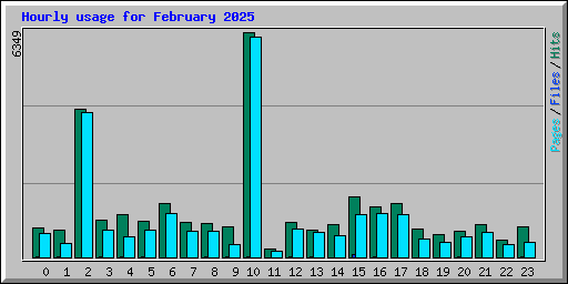 Hourly usage for February 2025