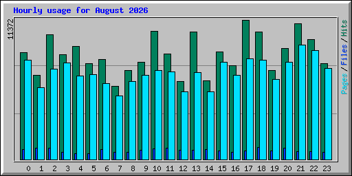 Hourly usage for August 2026